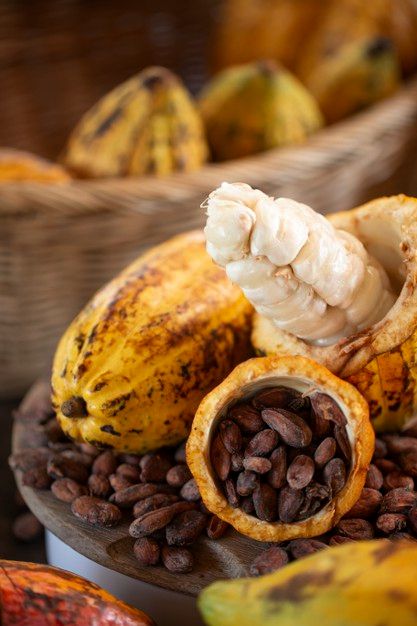 Cacao Photography, Cacao Pod, Cocoa Fruit, Cacao Fruit, Merch By Amazon, Cacao Chocolate, Cocoa Beans, Fruits For Kids, Live Tree