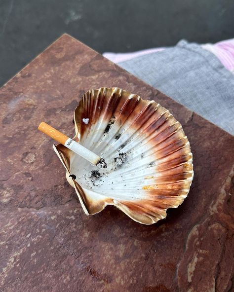 Seashell Ashtray, Sea Shell Aesthetic, Aesthetic Ashtray, Ashtray Aesthetic, Sea Shells Crafts, Shell Ashtray, Oyster Restaurant, French Arch, Creative Pics