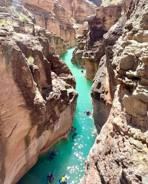 Exploring the Beauty of Havasu Creek: A Nature Lover's Paradise Havasu Creek Arizona, Spontaneous Travel, Untouched Nature, Arizona Trip, Havasu Falls, Arizona Road Trip, Sun Devils, Arizona Travel, Trip Outfits