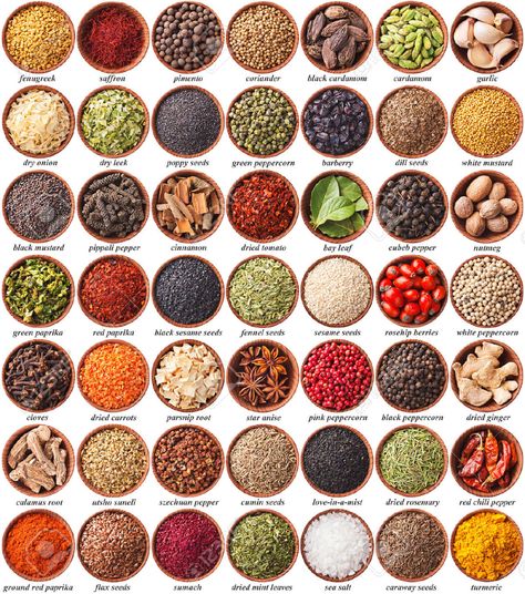 Large Collection Of Different Spices And Herbs With Labels Stock Photo, Picture And Royalty Free Image. Image 24198583. Indian Spices List, Spices List, Types Of Spices, Healthy Pantry Staples, Spice Chart, Masala Powder Recipe, List Of Spices, Healthy Pantry, Food Vocabulary