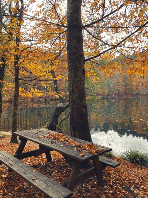 Fall By The Lake, Cottage Fall Aesthetic, Autumn Lake Aesthetic, Hello November Aesthetic, Maine Autumn, Northern Attitude, Evermore Aesthetic, November Vibes, Fall Lake