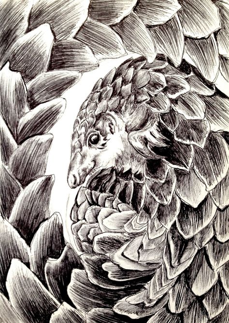 Pangolin Sculpture, Pangolin Art, Animal Selfie, Endangered Species Art, Squirrel Tattoo, Mexican Art Tattoos, Cute Animal Quotes, Animal Conservation, Vintage Illustration Art