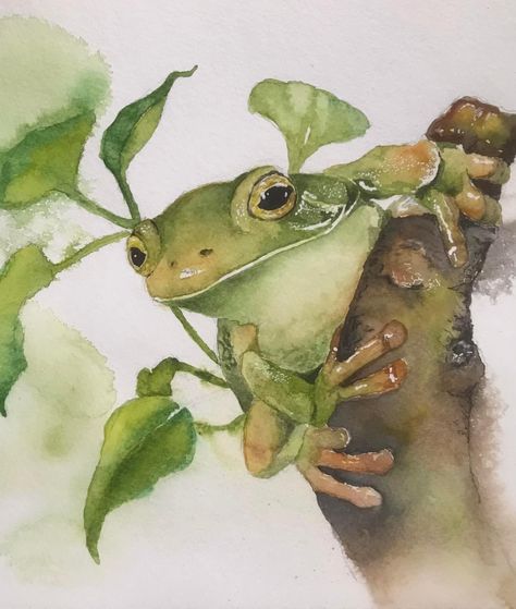 French Art Prints, Frog Watercolor, Fairy Drawings, Chalk Ink, A Ladybug, Diy Watercolor Painting, Ship Paintings, Watercolor Painting Techniques, Pastel Watercolor