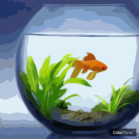 Coloring the fish in a glass jar with games Oil ColorPlanet Aquarium Drawing, Jar Drawing, Coloring Games, Mind Map Design, Watercolor Art Landscape, Fish Drawings, Art Painting Gallery, Cycling Art, Nature Drawing