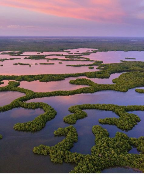 Cessna 172, Everglades Florida, Mangrove Forest, Everglades National Park, Usa Beaches, Nature Architecture, Thousand Islands, Breathtaking Places, Ten Thousand