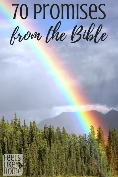 70 of God's promises from the Bible - These encouraging scriptures, verses, and quotes for women and men are words to live by. Relationships and encouragement by faith. Encouraging and inspirational words for healing and hard times.  https://feelslikehomeblog.com/2018/03/standing-on-the-promises-of-god-70-biblical-promises-you-can-count-on/ Words For Healing, Biblical Promises, Bible Verses For Girls, Scriptures Verses, Encouraging Scriptures, Promise Quotes, God Promises, God Encouragement, God's Promise