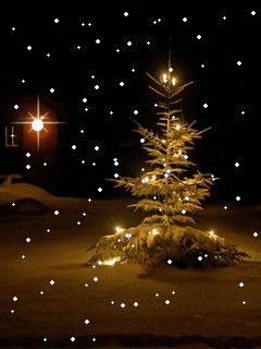 Blog contendo centenas de imagens para ser usadas em blogs e sites. Imágens em gifs e glitter Holiday Gif, Christmas Tree Pictures, Animated Christmas, Christmas Gif, Christmas Scenes, Vintage Christmas Cards, Christmas Love, Christmas Joy, Christmas Pictures