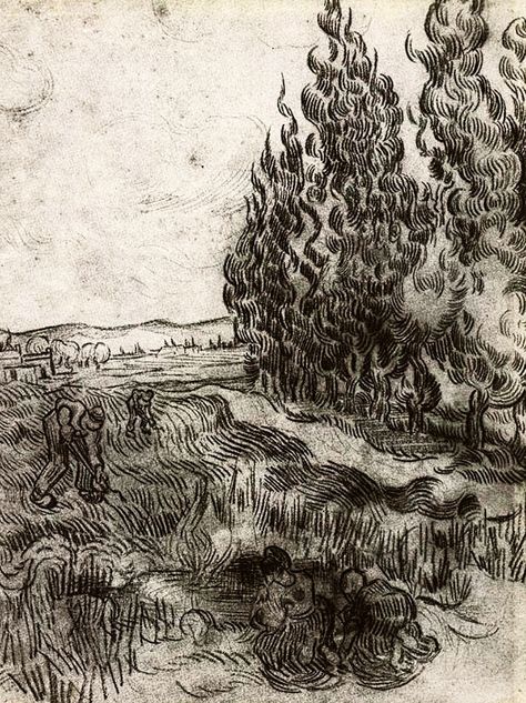 "Cypresses with Four People Working in the Field".....Vincent van Gogh Drawing, Black chalk Saint-Rémy: February - March, 1890......Museum Folkwang Essen, Germany, Europe. Vincent Van Gogh Drawings, Van Gogh Sketches, Van Gogh Tattoo, Van Gogh Drawings, Van Gogh Landscapes, Artist Van Gogh, Picasso Drawing, Vincent Van Gogh Art, Vincent Van Gogh Paintings