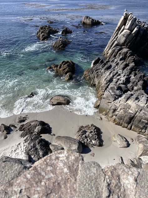 Monterey Bay Aesthetic, Monterey Aquarium, Sanctuary Beach Resort Monterey, Monterey Aquarium California, Monterey Peninsula, Monterey