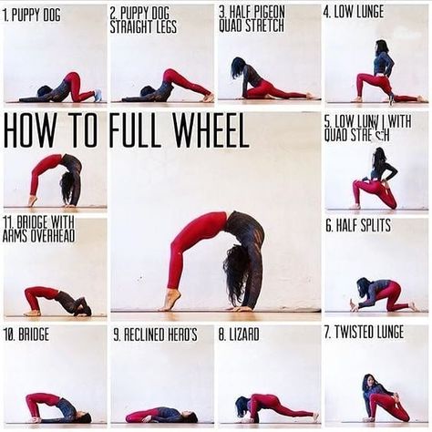 How to do Full Wheel  #fitabouts #motivation #yogalife #pose #fit #yogafun #yogaeverydamnday #health #yogadaily #yogalove #yogapractice… Yoga Ashtanga, Yoga Goals, Flexibility Exercises, Wheel Pose, Yoga Beginners, Yoga Iyengar, How To Start Yoga, Bikram Yoga, Yoga Help