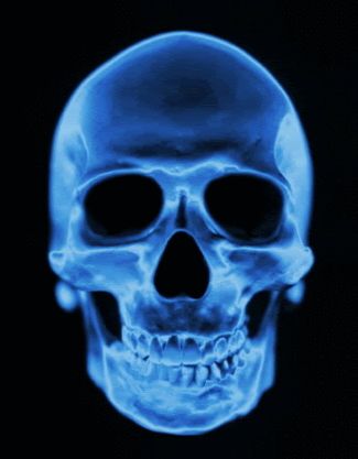 Skull GIF Image for Whatsapp and Facebook new gif DXW  #gif #GIFs #newgif Check more at https://ngif.net/skull-gif-image-for-whatsapp-and-facebook-new-gif-dxw/ Xray Art, Colorful Skulls, Ghost Tour, Dragon Pictures, Human Skull, Ex Machina, Skull And Bones, Design Graphique, Skull Art