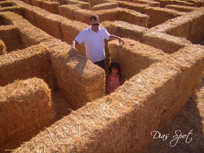 Straw Maze, Hay Maze, Hay Balers, Hand Water Pump, Maze Design, Patch Ideas, Halloween Family, Hay Bales, Corn Maze