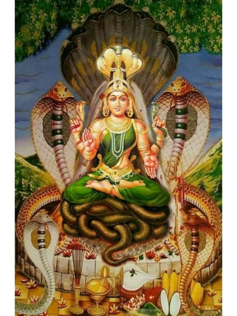 Naag Devta Images, Nagamma God, Manasa Devi Images, Manasa Devi Goddesses, Nrisingha Dev, Tara Devi Goddesses, Maa Manasa, Manasa Devi, Kali Hindu