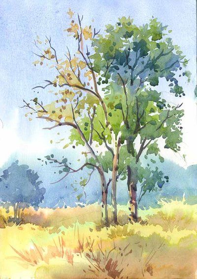 Colour sketch of trees by kios18 Trees In Watercolour, Watercolour Trees Painting, Water Colour Landscape Watercolour, Tree Water Colour, Water Colour Tree, Water Colour Landscape, Watercolour Tree, Watercolour Trees, Sketch Colour