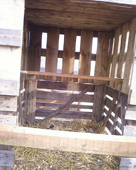 Turkey house Turkey Coops Diy, Diy Turkey Feeder, Pallet Turkey Coop, Turkey Coops Ideas, Diy Turkey Coop Ideas, Turkey Coop Diy, Turkey Shelter Ideas, Pet Turkey House, Turkey Roost Diy