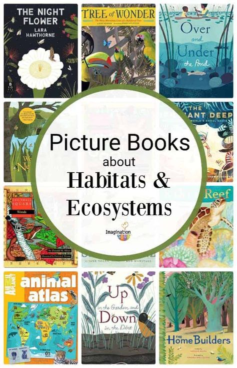 Picture Books About Habitats and Ecosystems | Imagination Soup Habitat Books For Preschool, Ecosystems Preschool, Preschool Habitats, Ecosystems Projects, Books Science, Homeschool Nature Study, Nature Books, Homeschool Books, Nature School