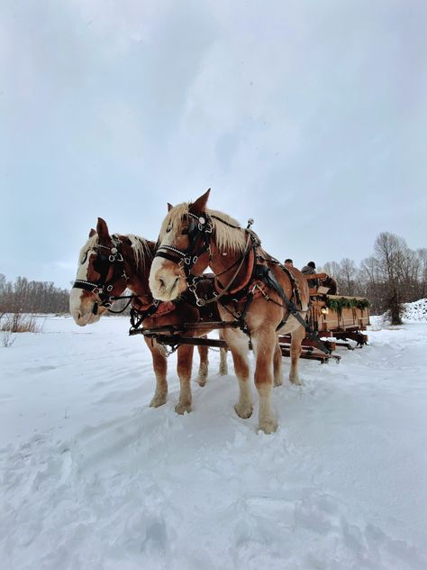 Christmas In Wyoming, Jacksonhole Wyoming Winter, Jackson Hole Christmas, Bachelorette Party Ideas Winter, Jackson Hole Wyoming Winter, Winter Vacation Ideas, Jackson Hole Vacation, Jackson Hole Winter, Winter Getaways