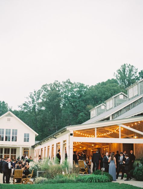 Bones Wedding, Bachelorette Locations, Fall Vineyard Wedding, Fall Vineyard, Virginia Hill, Pippin Hill Wedding, Charlottesville Virginia Wedding, Photo Orange, Virginia Mountains