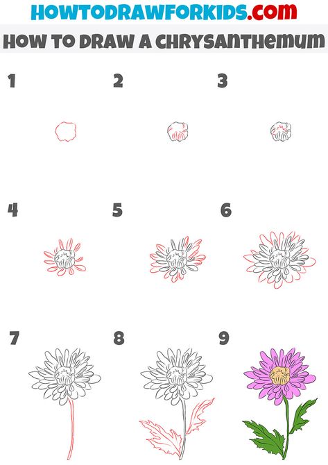 how to draw a chrysanthemum step by step Chrysanthemum Tutorial Drawing, How To Draw Aster Flower Step By Step, How To Draw Chrysanthemum Step By Step, How To Draw Aster Flower, Chrysanthemum Drawing Step By Step, How To Paint A Chrysanthemum, Chrysanthemum Painting Easy, How To Draw Carnations Step By Step, Easy Chrysanthemum Drawing