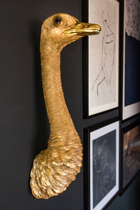 Ostrich Animal, Ostrich Head, Animal Head Wall Decor, Dark Color Palette, Unique Gallery Wall, Rockett St George, Wall Ornaments, Animal Heads, Retro Wall Art