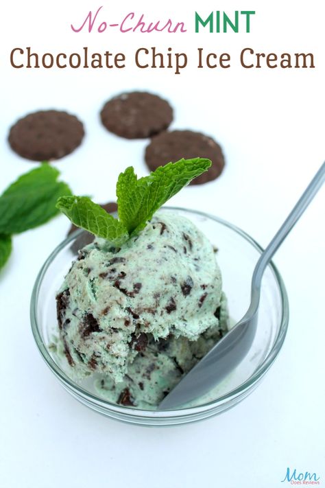 Homemade Mint Chocolate Chip Ice Cream, Mint Chocolate Chip Ice Cream Recipe, Chocolate Chip Ice Cream Recipe, Mint Chocolate Fudge, Brownies Cheesecake, Frozen Treats Recipes, Mint Chocolate Ice Cream, Mint Chip Ice Cream, Nice Cream Recipe