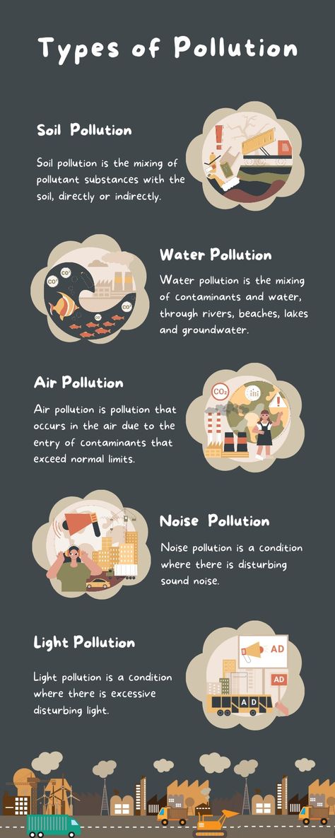 Types Of Pollution Poster, Types Of Pollution, Pollution Poster, School Science Projects, Basic English Sentences, Basic English, Noise Pollution, Water Pollution, Rangoli Designs Flower