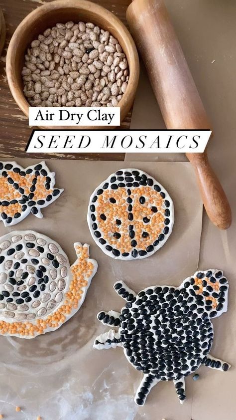 Air dry clay seed mosaics ✨ We needed a little something to spruce up the garden as it makes its transition into fall and these were just the thing ✨ For this you’ll need air dry clay, some old seeds and beans or remnants of whatever you have sitting around in your pantry (we used very old or expired dry goods). Roll out the clay with a rolling pin and cut out a circle with a biscuit cutter or cookie cutter. You’ll want it rather thick so it doesn’t break easily. Push beans and seeds down into Clay Preschool Activities, Seed Mosaic For Kids, Air Dry Clay Ideas Useful, Bean Mosaic Art For Kids, Air Dry Clay Toddler Craft, Air Dry Clay Crafts For Kids, Air Dry Clay Mosaic, Kids Air Dry Clay Projects, Fall Air Dry Clay Projects