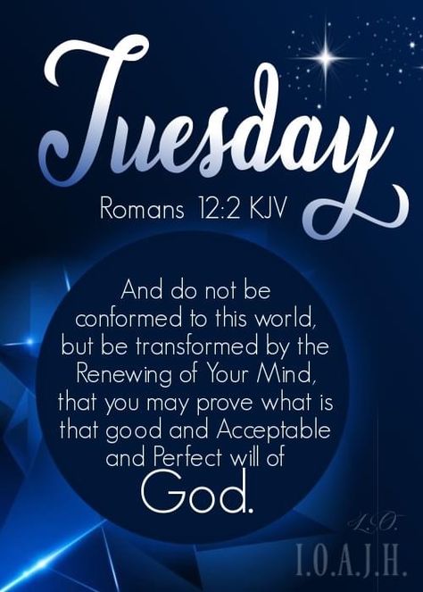 Servants Heart, Tuesday Quotes Good Morning, Morning Scripture, Tuesday Blessings, Biblical Scriptures, Morning Tuesday, Blessings Quotes, Happy Tuesday Quotes, Encouraging Thoughts