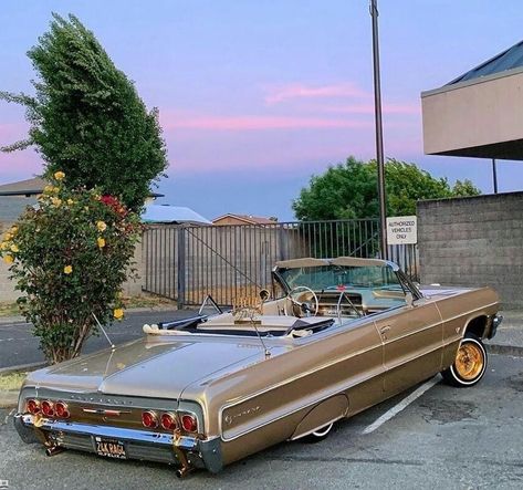 64 Impala Lowrider, Lowrider Culture, Lowrider Hydraulics, Impala Lowrider, Lowrider Model Cars, 1967 Chevrolet Impala, Cars Driving, Car Low, 64 Impala