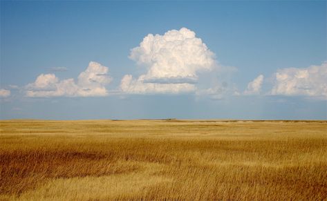 WHY LITERATURE AND POP CULTURE STILL CAN’T GET THE MIDWEST RIGHT Cumulus Clouds, Sustainable Agriculture, Open Field, The Villain, Rio Grande, Rodeo, The Sky, Landscape Photography, Beautiful Places