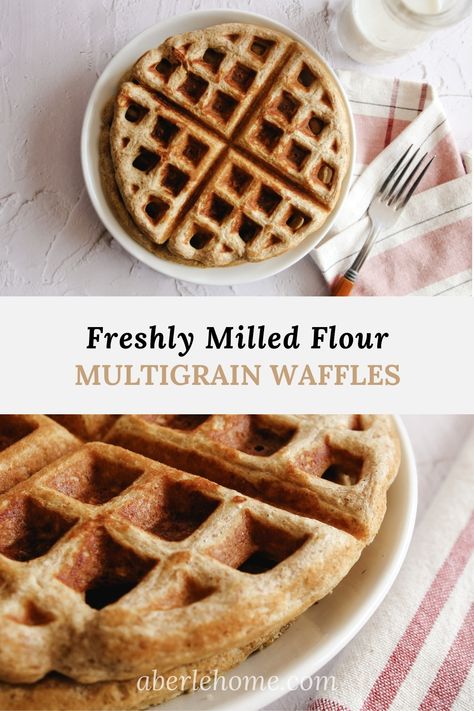 The Best Multigrain Waffles - Aberle Home Milled Flour Recipes, Fresh Milled Flour, Sourdough Bread Recipes, Waffles Recipe, Waffle Recipe, Breakfast Sweets, Sourdough Bread Recipe, Multigrain, Flour Recipes