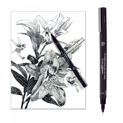 Pen Drawing Ideas, Fineliner Drawing, Coloured Pens, Sakura Pens, Technical Pen, Acrylic Brushes, Drawing Pen, Pen Sketch, Watercolor Wash