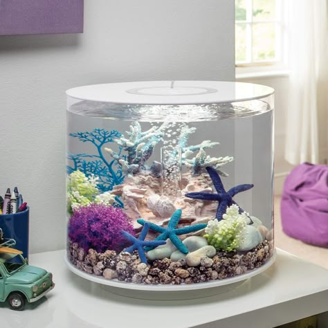 Amazon.com: biOrb: TUBE Small Fish Tanks In Bedroom, Cool Fish Tank Ideas Decoration, Small Fish Tank Ideas Bedrooms, Cute Fish Tank Ideas, Modern Fish Tank, Fish Aquarium Decorations, Fish Tank Themes, Acrylic Aquarium, Amazing Aquariums