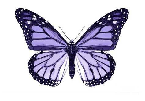 Purple Png Aesthetic, Purple Butterfly Aesthetic, Interesting Bugs, Purple Butterfly Tattoo, Purple Png, Butterfly Aesthetic, Lavender Butterfly, Blue Butterfly Wallpaper, Rune Tattoo