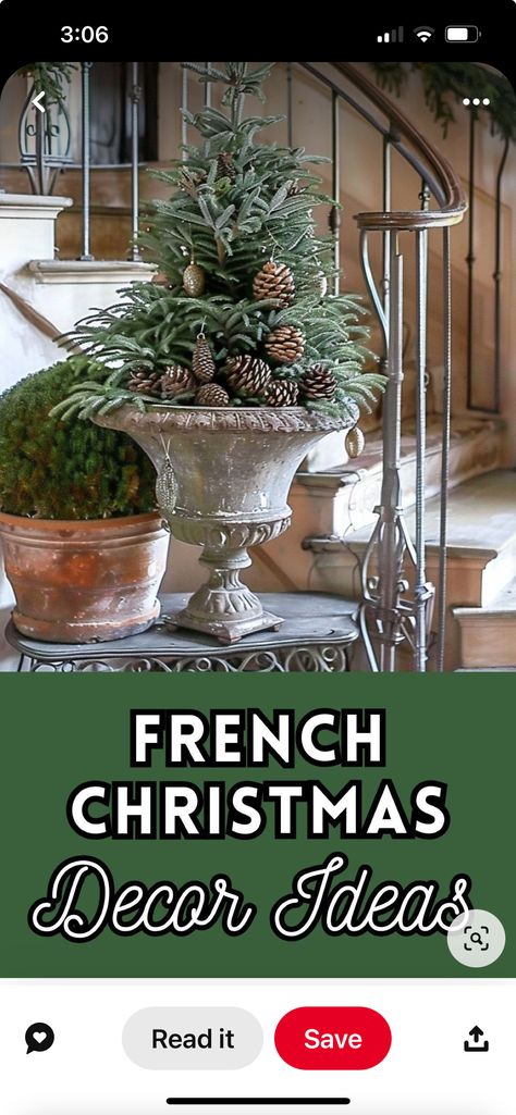 Rustic Luxe Christmas, Christmas Decor Top Of Armoire, Decorating Dining Room Chairs For Christmas, Christmas Creche Ideas, French Horn Decor, French Country Fireplace Mantle Decor, Decorated Christmas Wreaths, Decorating With Cedar Branches, Chair Decorations Christmas