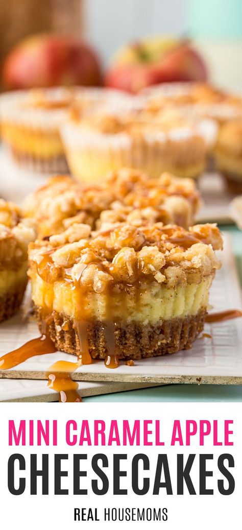 Caramel Apple Cheesecakes, Mini Caramel Apple Cheesecakes, Carmel Apple Mini Cheesecakes, Carmel Apple Cheesecake Bites, Caramel Apple Cheesecake Cupcakes, Apple Crumble Mini Cheesecake, Apple Crumble Cheesecake Cupcakes, Dessert Cheesecake Cups, Apple Caramel Cheesecake Bars