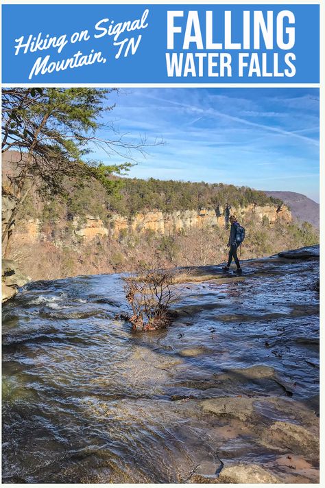 Signal Mountain Tennessee, Falling Water, Mountain Laurel, Water Falls, Trail Maps, Great Pictures, Plan Your Trip, Hiking Trails, The Mountain