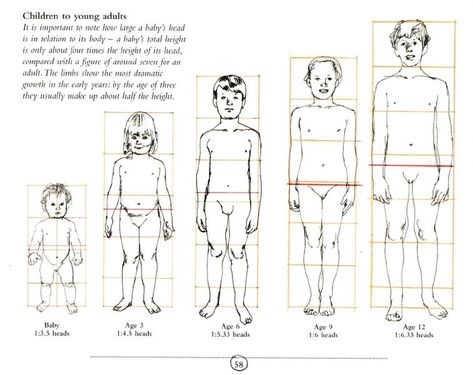 Child Anatomy, My Body Parts, Body Proportion Drawing, Human Proportions, Body Parts For Kids, Drawing Proportions, Anatomy Illustration, Human Anatomy Reference, Toddler Drawing