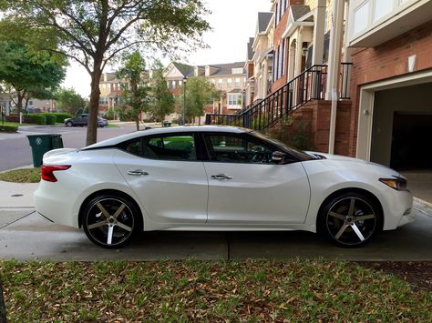 2016 Nissan Maxima 2016 Nissan Maxima, Nissan Maxima 2016, Car Goals, Nissan Maxima, Nissan Sentra, First Car, Nissan Altima, My Dream Car, Car Lover