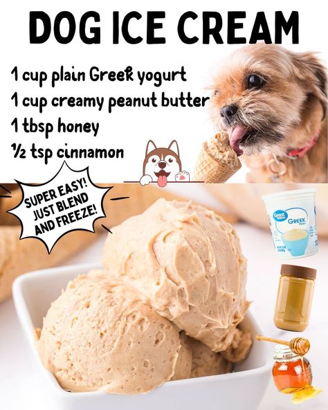 Peanut Butter Dog Ice Cream is a homemade ice cream that only takes 5 minutes to make and is totally pet-friendly. This delicious doggy treat is a combination of peanut butter, honey, and yogurt that will definitely have your puppy's tail wagging! Dog Ice Cream Recipe, Recipe With Honey, Foods Dogs Can Eat, Pet Treats Recipes, Dog Treats Homemade Easy, Easy Dog Treat Recipes, Frozen Dog Treats, Dog Ice Cream, Dog Biscuit Recipes