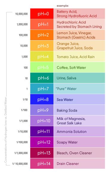 pH – Pure Water Products, LLC #savethewater Ph Scale Chemistry, Cosmetology Instructor, Beauty School Cosmetology, Ph Scale, Hair Science, Chemistry Classroom, Cosmetology Student, Teaching Chemistry, Chemistry Lessons