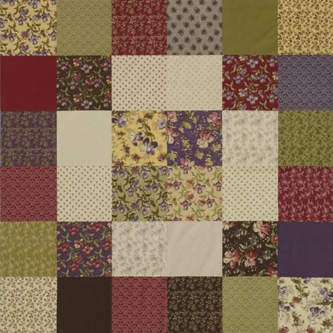 Audra’s Iris Garden Collection Easy Quilting, Galaxy Fabric, Picnic Quilt, Two Color Quilts, Scrapping Ideas, Batik Quilts, Easy Quilt Patterns, Scrappy Quilt, Michael Miller Fabric