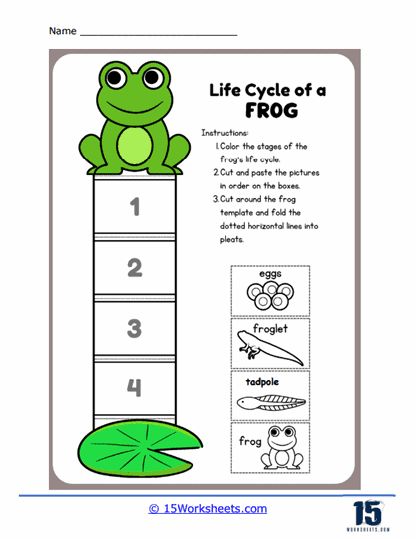 A Frog's Life Worksheet - 15 Worksheets.com Frog Theme Preschool, Frog Life Cycle Printable, Study Skills Worksheets, Frogs Preschool, Frog Template, Life Cycle Of A Frog, Holiday Science, Lifecycle Of A Frog, Tactile Learning