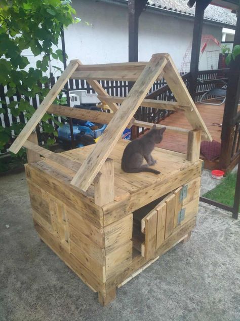 Outdoor Cat House Diy, Cat House Outdoor, Catio Ideas, Outside Cat House, Cat House Plans, Animal Enclosures, Outdoor Cat Shelter, Ideas For Cats, Feral Cat House