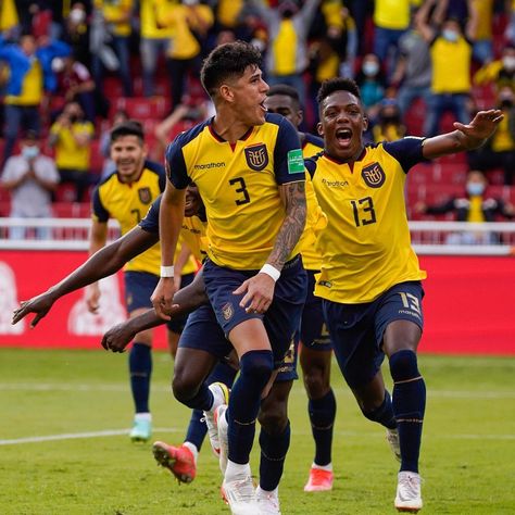 La Tri Ecuador on Instagram: “🥰 ¡Grítalo @pierohincapie, grítalo! 🤩 La celebración de 17 millones de ecuatorianos. #JuntosHastaElFinal🇪🇨” Piero Hincapie Ecuador, La Tri Ecuador, Ecuador Soccer Team, Piero Hincapie, Team Celebration, Enner Valencia, Soccer Boys, Football Wallpaper, Soccer Team