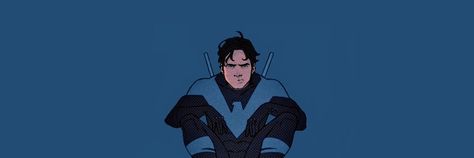 Nightwing Banner, Nightwing Header, Nightwing Wallpaper, Dc Banner, $b Wallpaper, 4k Wallpapers For Pc, Wallpaper Landscape, Laptop Backgrounds, Discord Banner