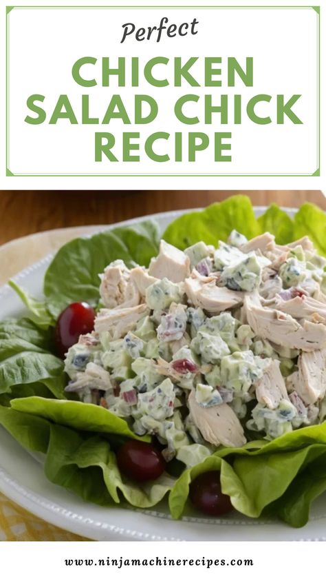 chicken salad chick recipe Ingles Chicken Salad Recipe, Easy Chicken Salad Recipe With Mayo, Chicken Salad With Yogurt Recipe, Canned Chicken Salad Recipe Easy Simple, Chicken Salad Recipe Without Celery, Chicken Salad Chick Copycat Recipes, Chicken Salad Chick Recipe Copycat, Homemade Chicken Salad Recipe, Chicken Salad Recipe Healthy