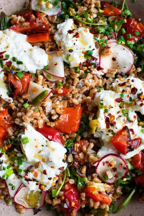 Warm Farro Salad, Mediterranean Salads, Salad With Burrata, Meal Vegetarian, The Original Dish, Farro Recipes, Honey Vinaigrette, Yummy Salads, Beautiful Salad