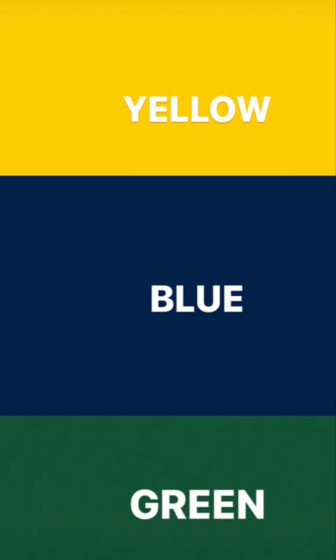 Blue Yellow Green Color Palette, Blue Green Yellow Color Palette, Color Matching Clothes, Yellow Color Combinations, Pantone Color Chart, Flat Color Palette, Colours That Go Together, Website Color Palette, Pantone Colour Palettes