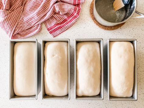 THE Sourdough Co. Sourdough Microbakery, Sandwich Loaf, Sourdough Sandwich, Gluten Free Sourdough, Sourdough Baking, Buckwheat, Sourdough Bread, How To Make Bread, Cinnamon Rolls